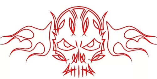 Pinstripe skull bones flames - skull,