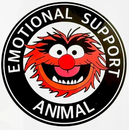 Emotional support rat rod - 2-,