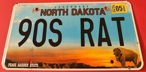 90s rat vanity - rat, plate