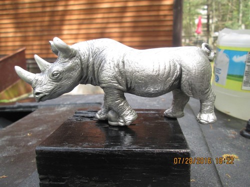 African rhinoceros ratrod - african,