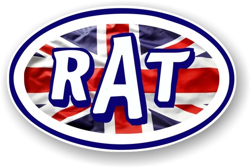 Oval retro rat ratlook ratrod - retro,