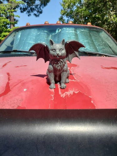 Rare winged cat goth hood - cat,